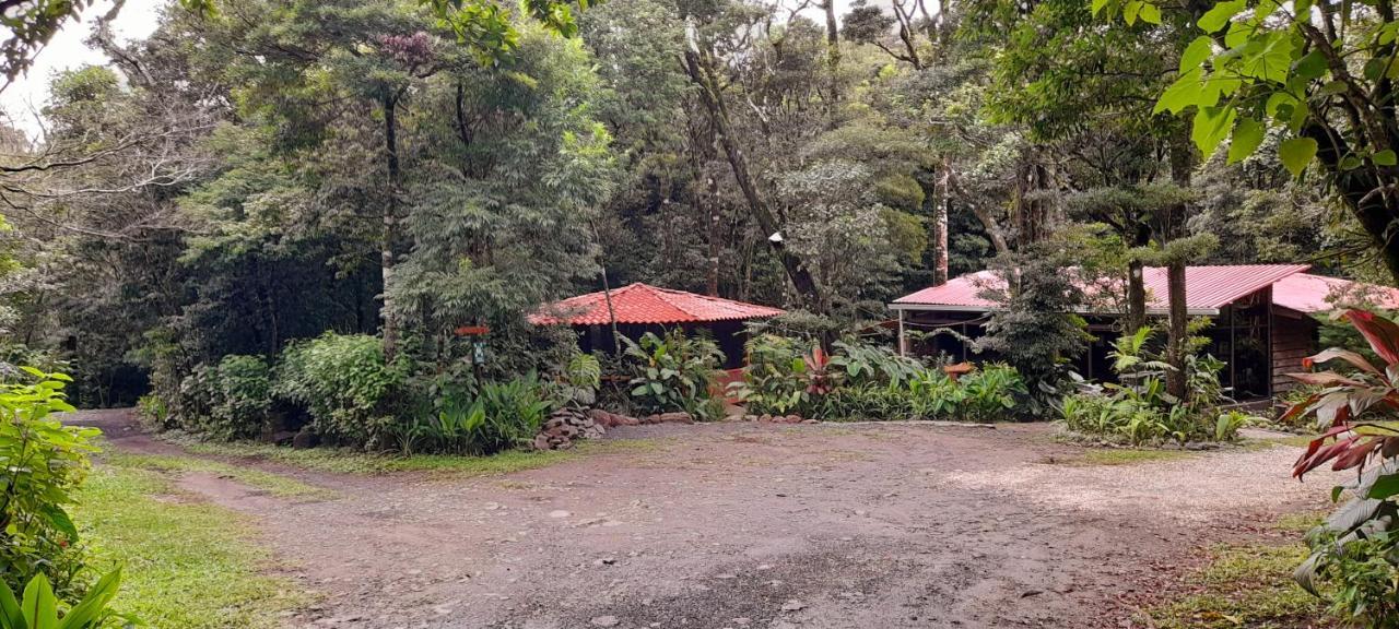Cabanas La Montana Mountain Lodge Monteverde Eksteriør billede