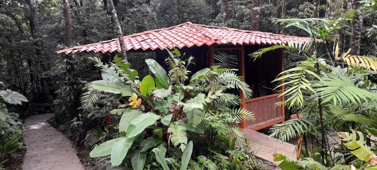Cabanas La Montana Mountain Lodge Monteverde Eksteriør billede