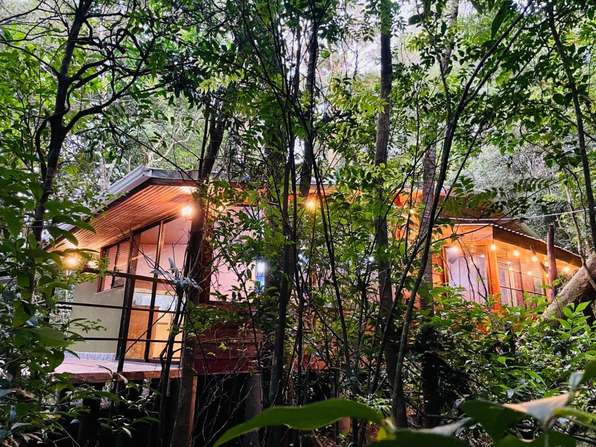 Cabanas La Montana Mountain Lodge Monteverde Eksteriør billede